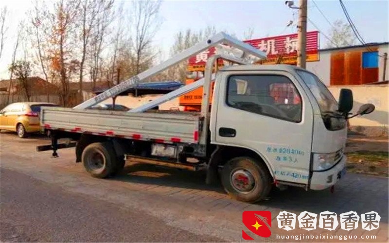 农村生意，投资不要太大的，有哪些能每月挣到一万以上？