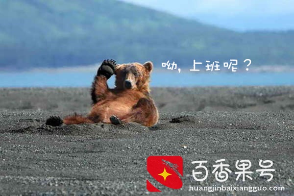 13 个完美请假借口，不想上班的时候有救了