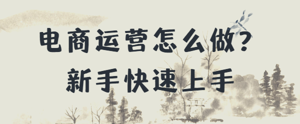 电商运营怎么做？新手快速上手，实现收益