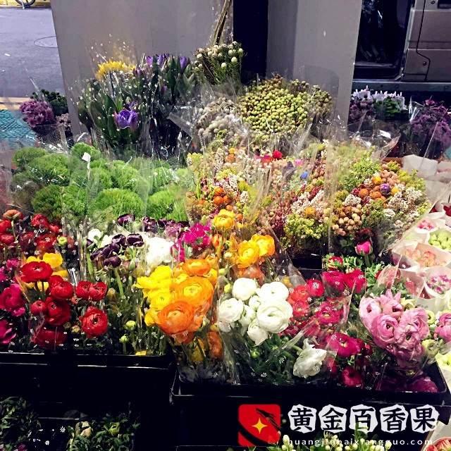 厦门大名鼎鼎的花鸟市场