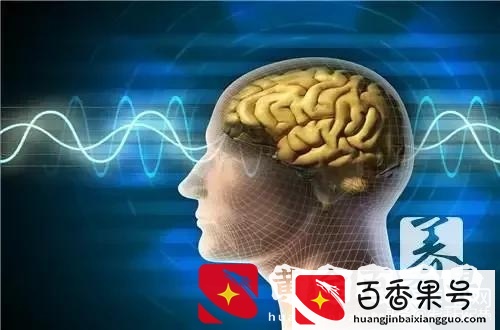 脑子笨的人有什么特征呢！