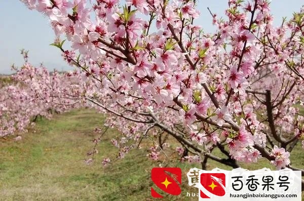 做什么生意一年能赚100万