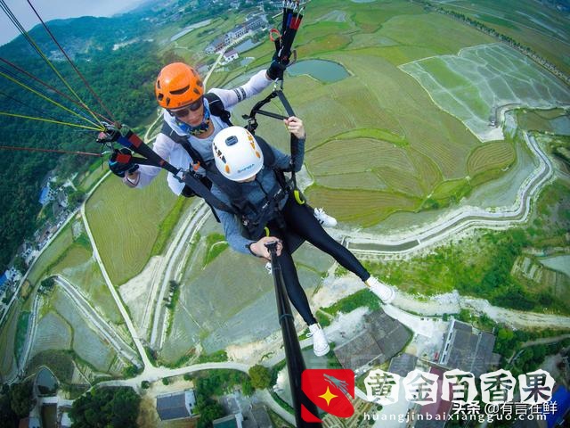 旅游发展的前景和趋势