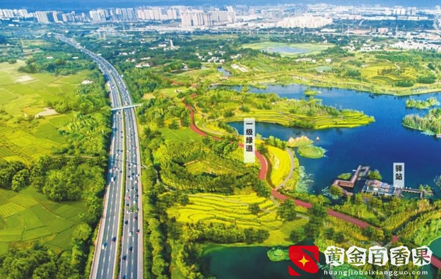 西部两大网红城市重庆和成都，你愿意在哪个城市生活？