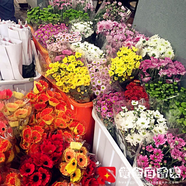 厦门大名鼎鼎的花鸟市场