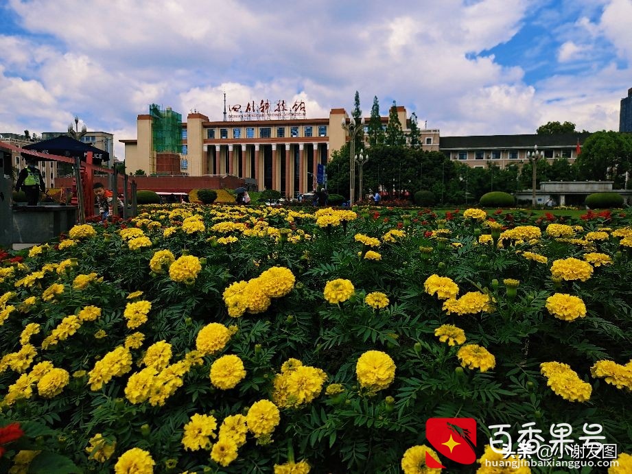 成都最繁华的地方，不过我好像来错了时间