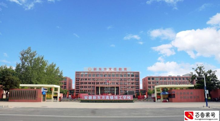 男生学什么技术有前途