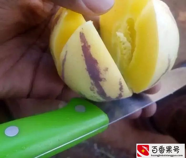 人参果的营养有多丰富？你可能高估了这种水果的实力