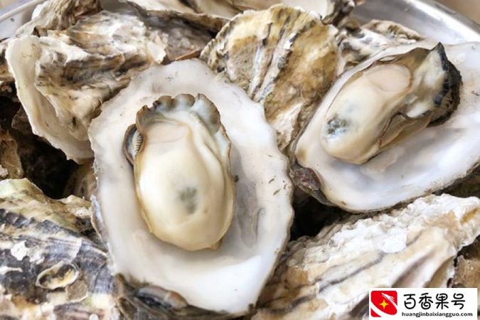 煮生蚝时，直接下锅煮是错误的，海边人如此做，煮出的生蚝鲜又嫩