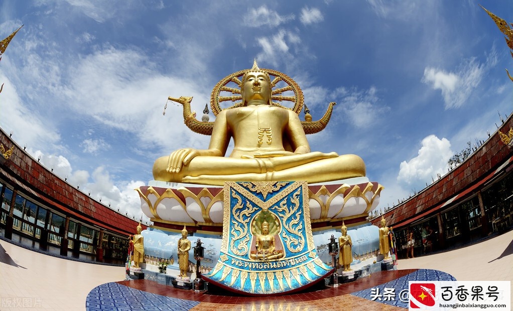 儿子中年丧子，他老年丧子，父子俩尝到人间极苦