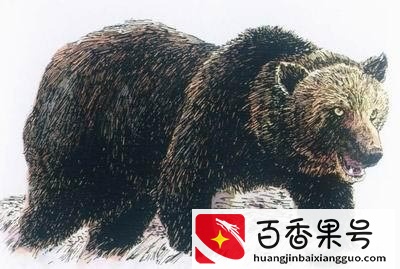 盘点近代灭绝的30种动物
