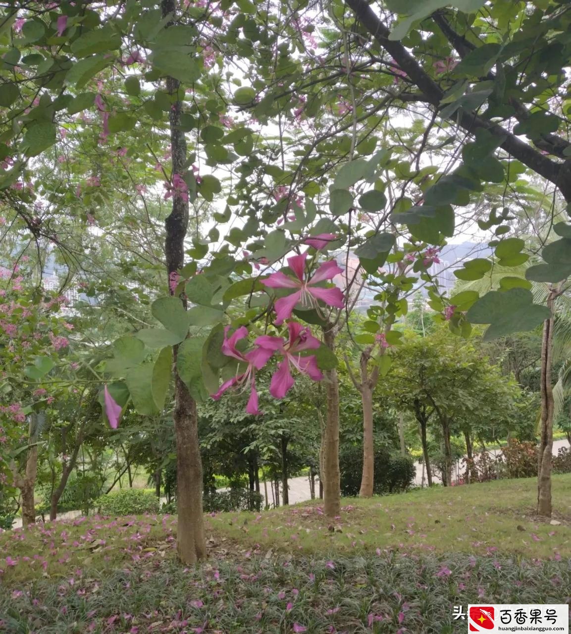 趁着明白写好遗嘱给家人，丧事从简莫给儿女添负担