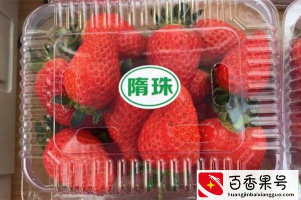 哪个品种草莓最甜？优质草莓品种介绍