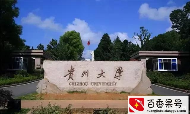 网红教授郑强，一人带火三所高校