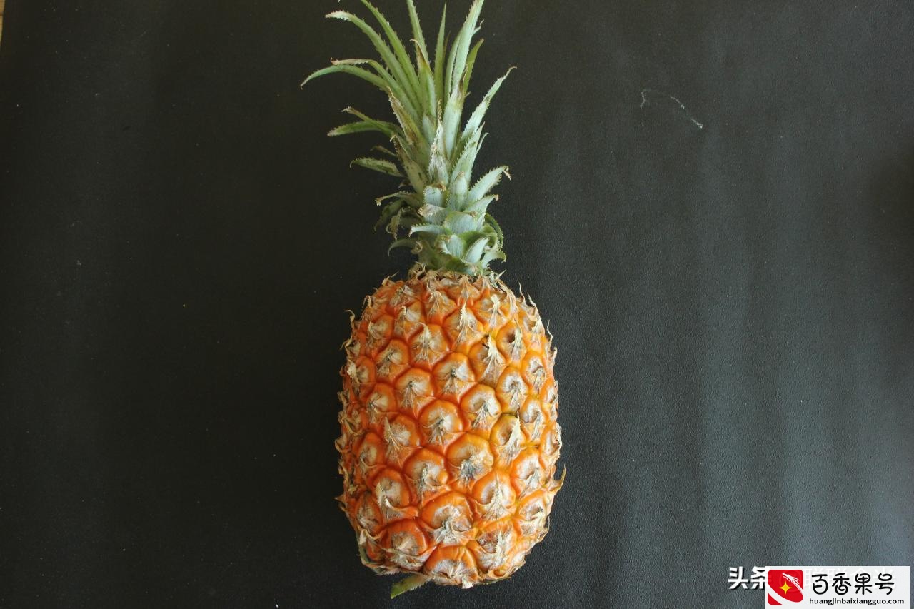 菠萝和凤梨的区别，究竟哪个更好吃，看完涨知识了