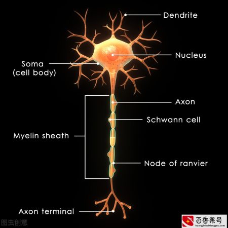 女性的荷尔蒙有多么重要，如果出现这几项就与它有关了