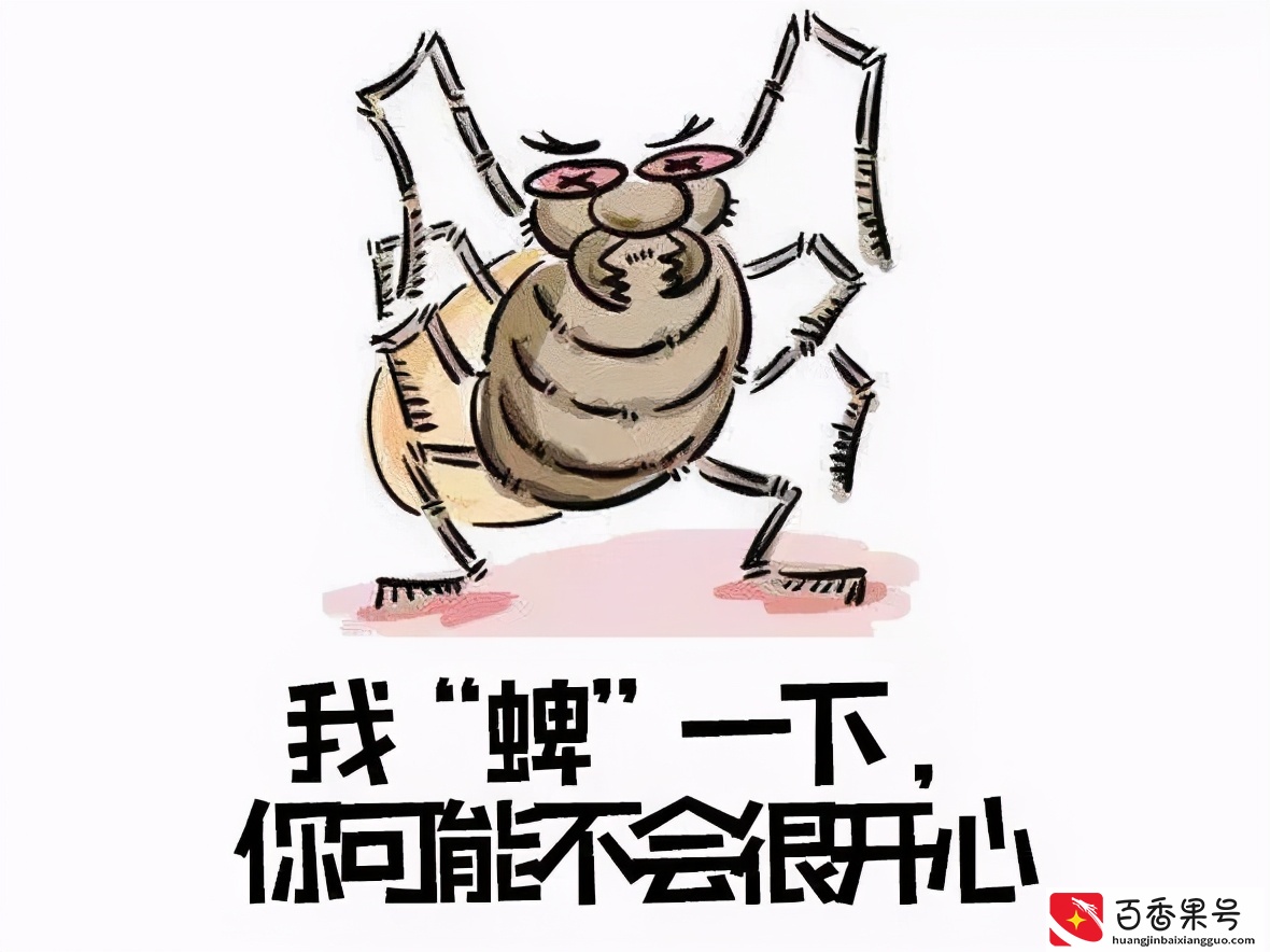 孩子被蜱（pí ）虫咬伤不疼不痒，如何一招尽早识破