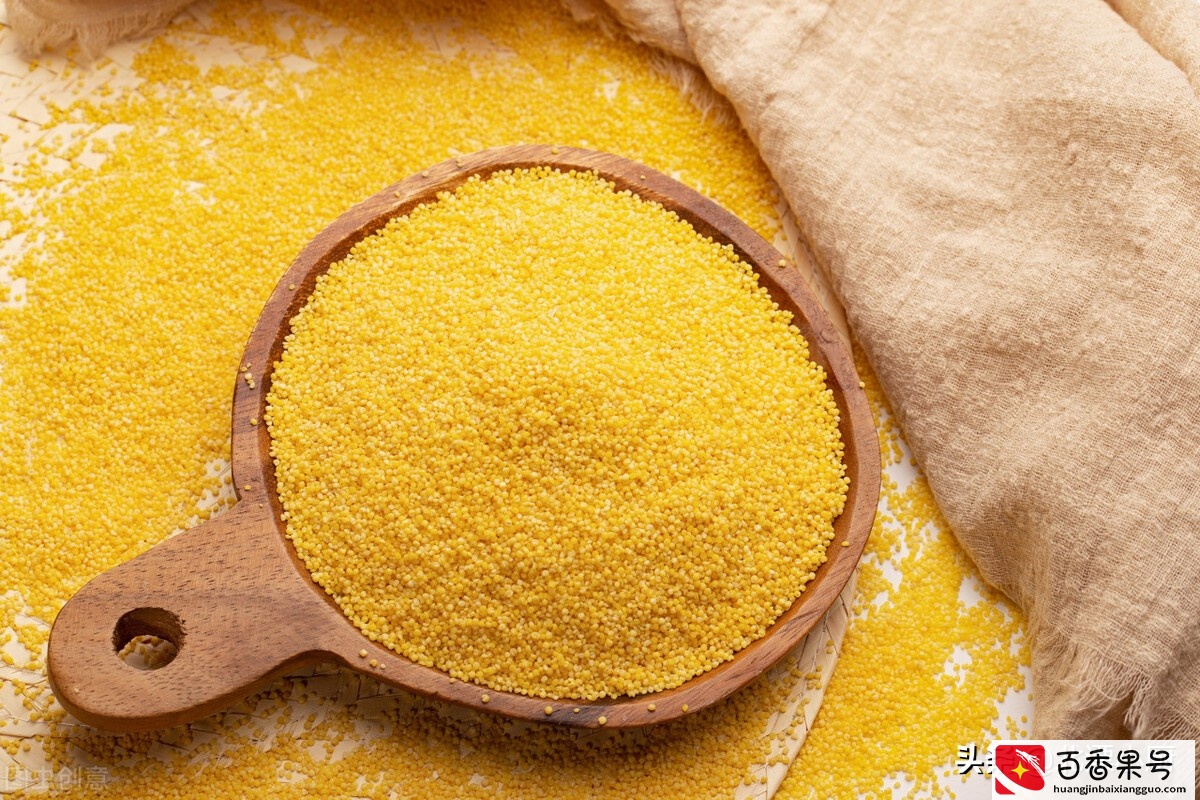 全中国哪里的小米最好吃？认清这4个产地，谷中珍品，香糯粘稠