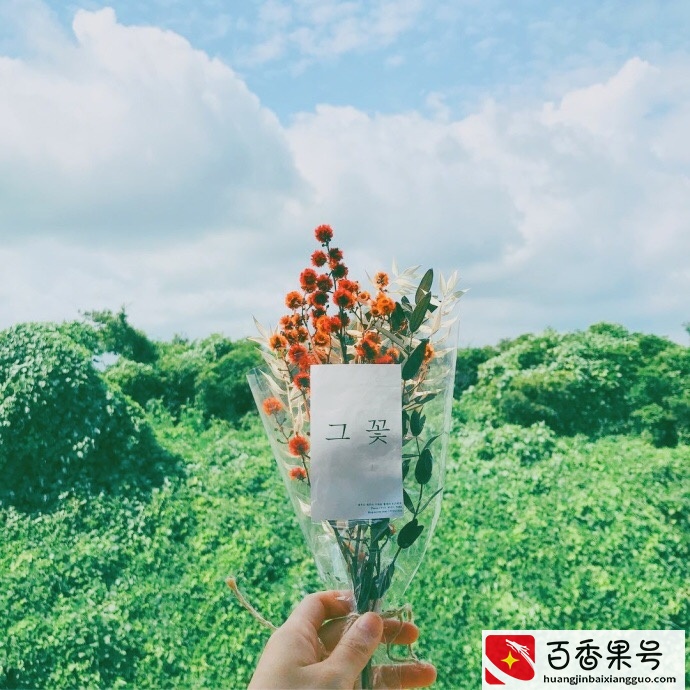 2022适合发朋友圈的文案句子，说到心坎上，带精美图片