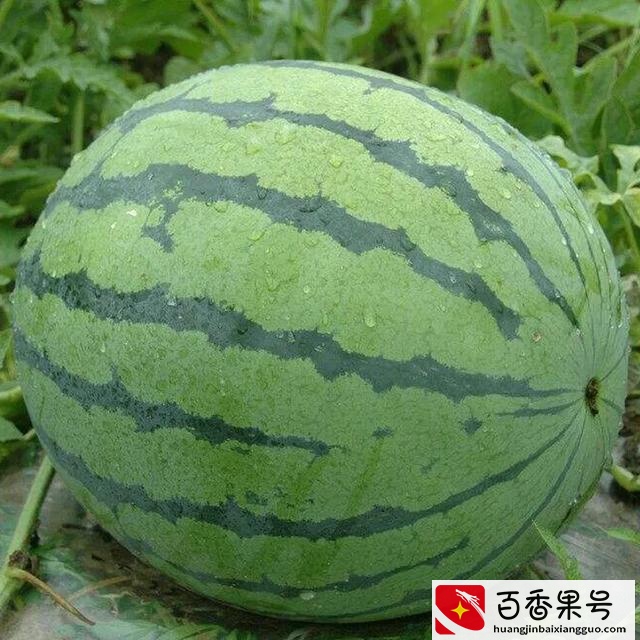 一千万在韩国算有钱吗