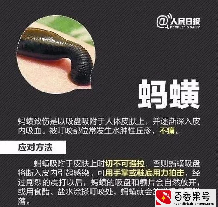 孩子被蜱（pí ）虫咬伤不疼不痒，如何一招尽早识破