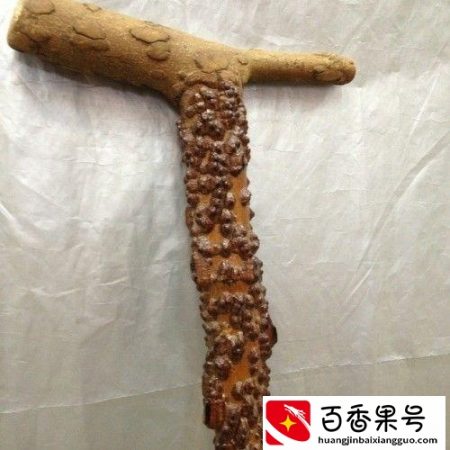 花椒木有什么作用与功效