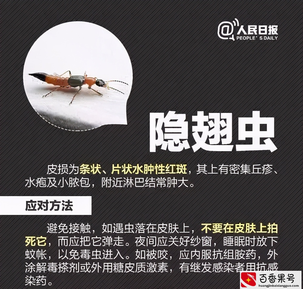孩子被蜱（pí ）虫咬伤不疼不痒，如何一招尽早识破