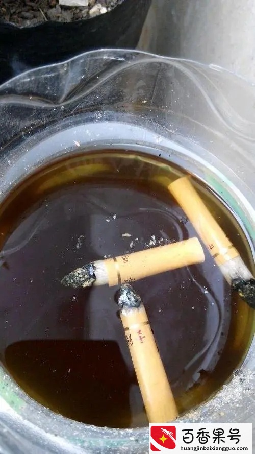 烟灰缸里倒水，到底好不好？
