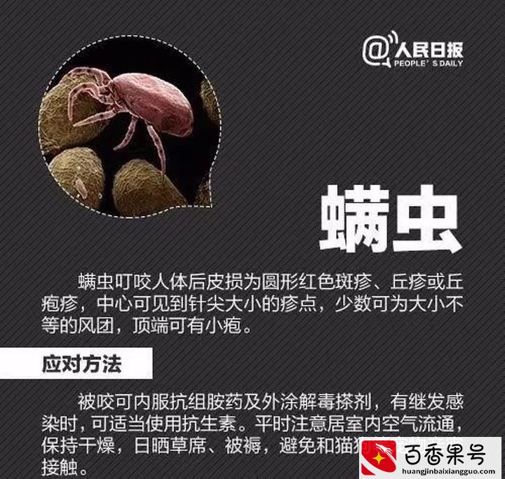 孩子被蜱（pí ）虫咬伤不疼不痒，如何一招尽早识破