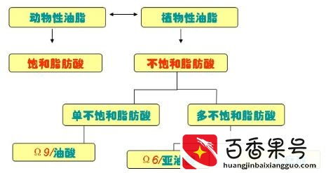 猪油和植物油哪个更健康