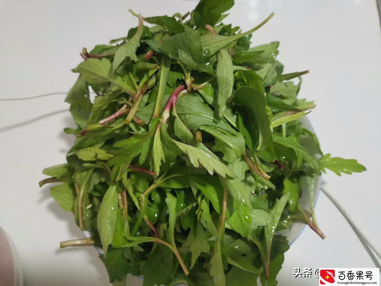 52种野菜大图片，教你认识不同的野菜和吃法，你想要的野菜这里有