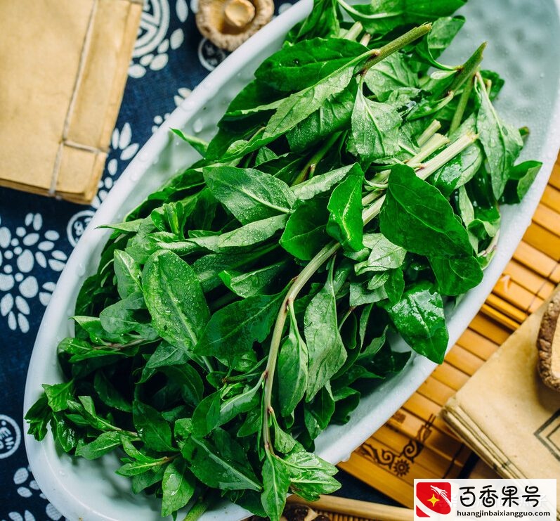 52种野菜大图片，教你认识不同的野菜和吃法，你想要的野菜这里有