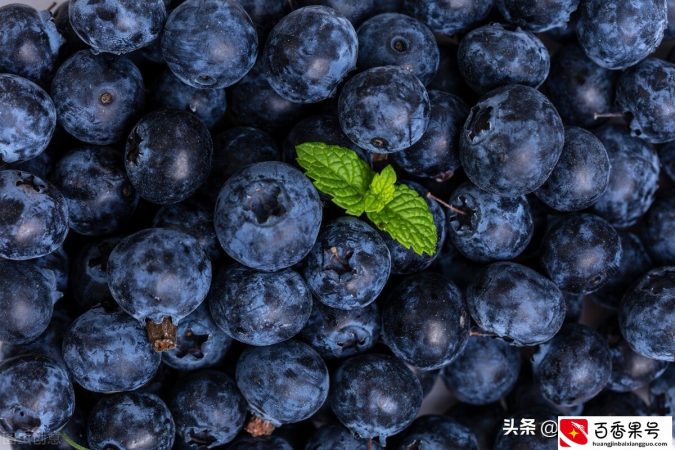 蓝莓的正确清洗方法，干净无残留，孩子吃得放心