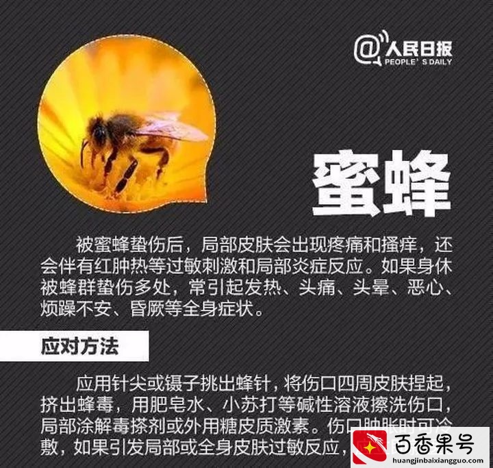 孩子被蜱（pí ）虫咬伤不疼不痒，如何一招尽早识破