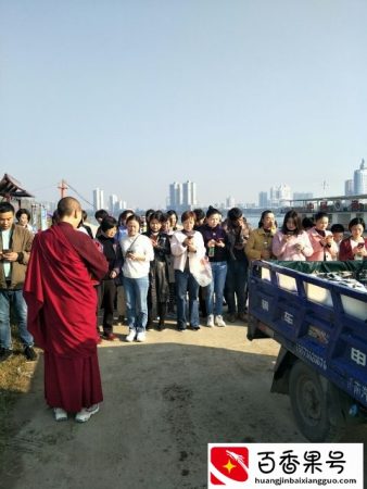 放生的好处与注意点