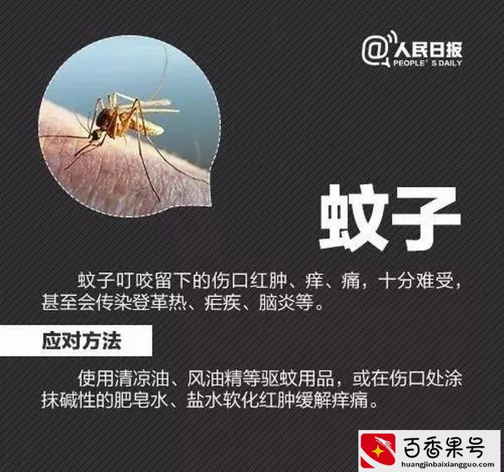 孩子被蜱（pí ）虫咬伤不疼不痒，如何一招尽早识破