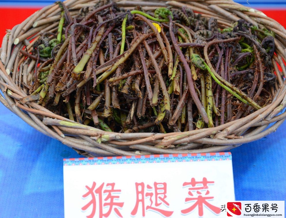 52种野菜大图片，教你认识不同的野菜和吃法，你想要的野菜这里有