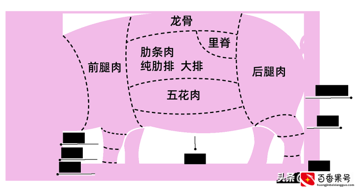 买猪肉排骨，选“猪前排”还是“猪后排”？口感差别大，别挑错了