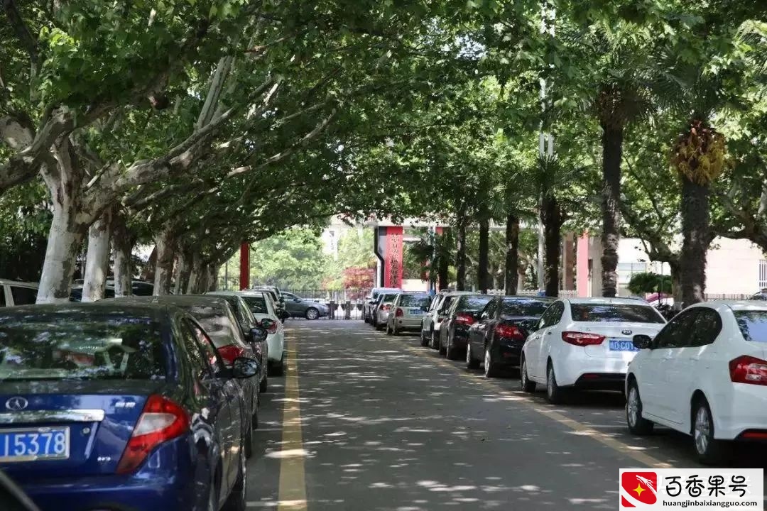 买房时，需要买停车位吗？过来人给你“良心建议”，三思而后行