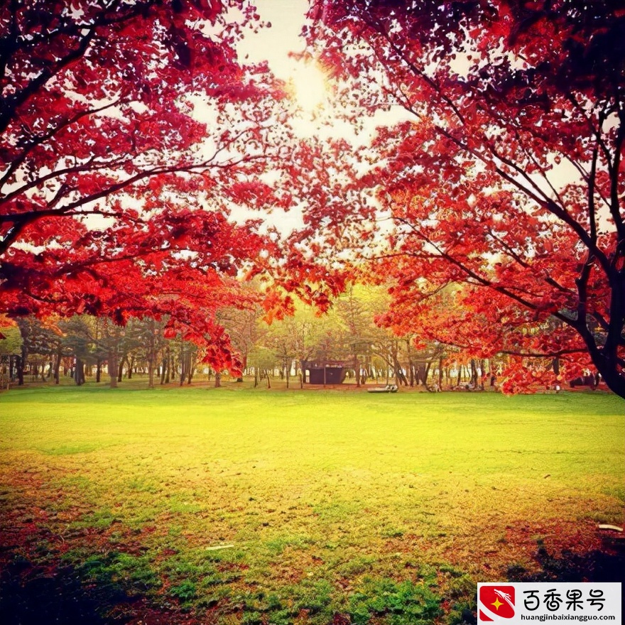2022适合发朋友圈的文案句子，说到心坎上，带精美图片