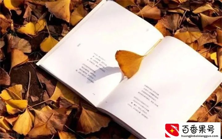 当下，在家可以兼职赚钱的途径，现在社会上有哪些呢？