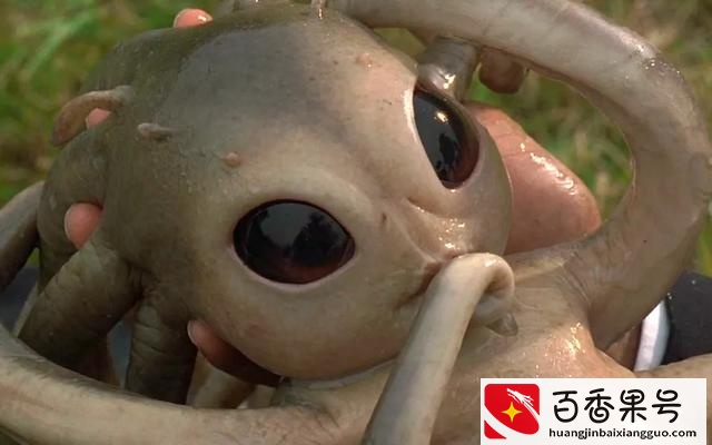 外星人来过地球吗