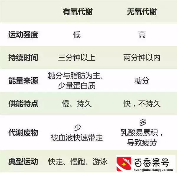 有氧 Vs. 无氧运动，你该怎么选？