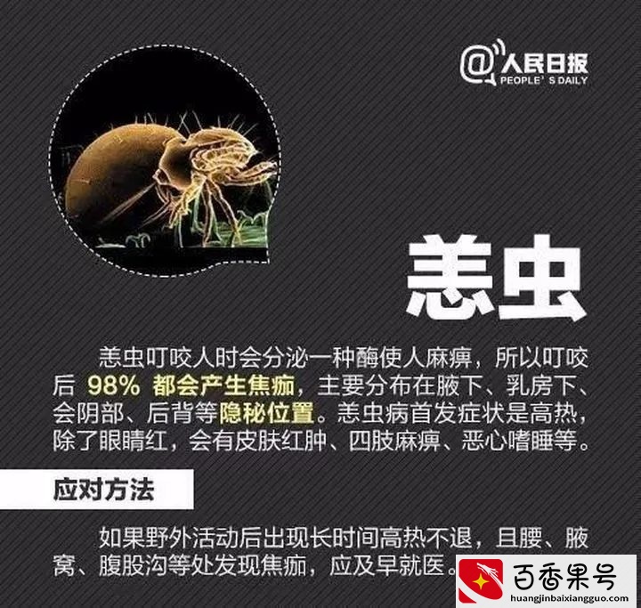 孩子被蜱（pí ）虫咬伤不疼不痒，如何一招尽早识破