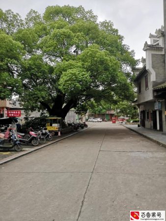 小县城的兴旺行业