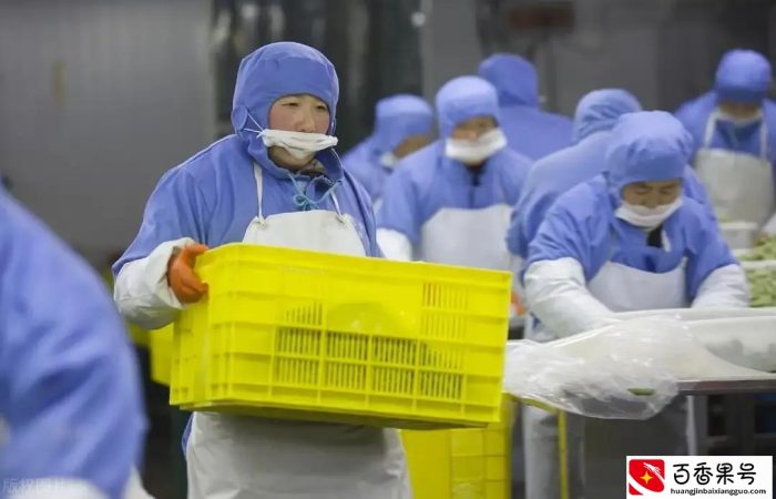 工厂“两班倒”对人身体伤害有哪些？