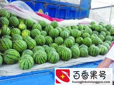 目前很火爆的生意有哪些？这五个项目值得推荐，快来学学吧