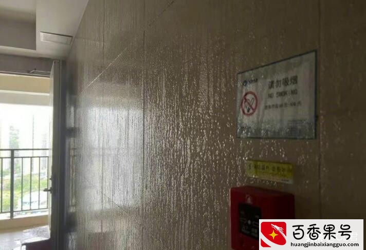 “回南天”强势来袭，南方人要注意了，这样做可避免墙壁“流泪”