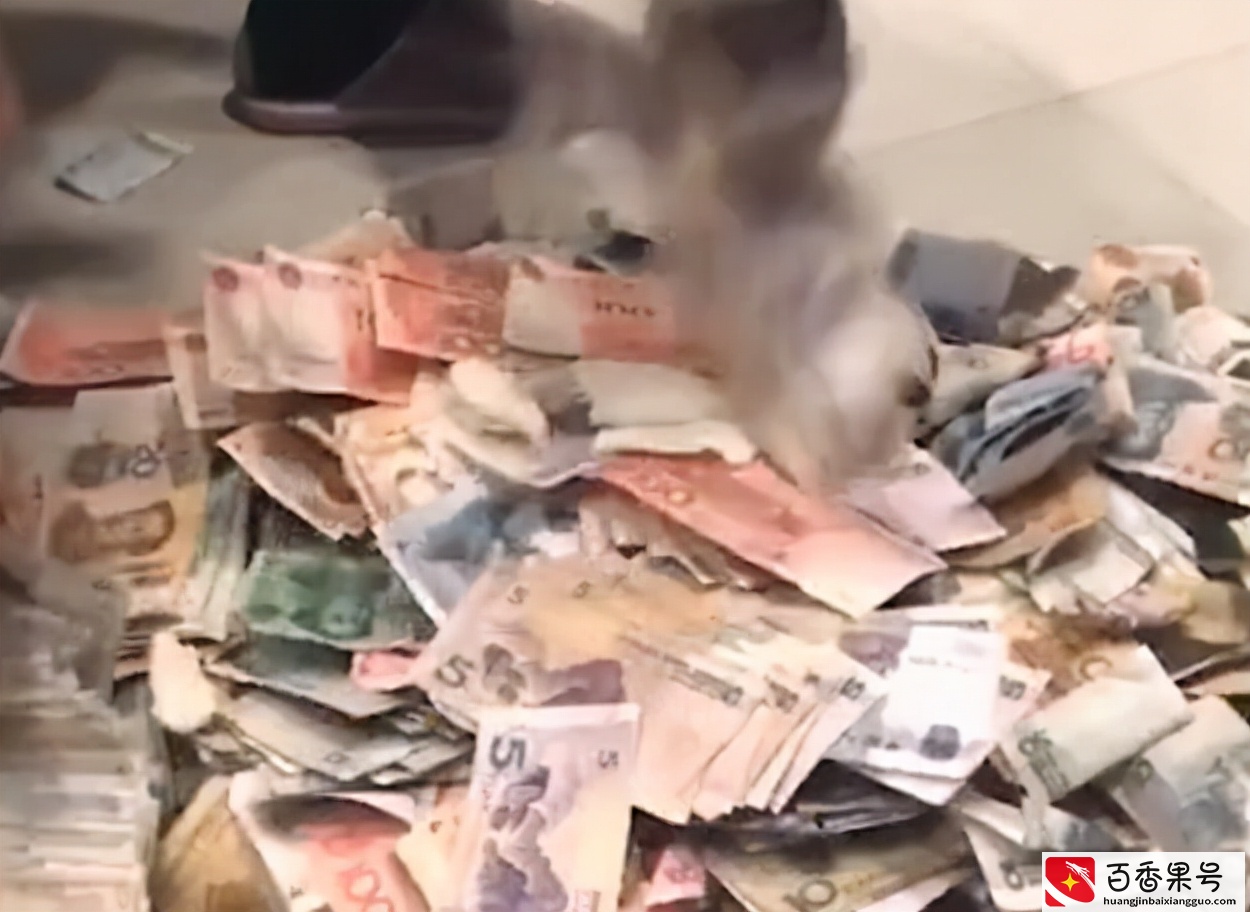河南一男子晒妻子摆地摊一个月的收入，网友直呼：又想骗我摆地摊