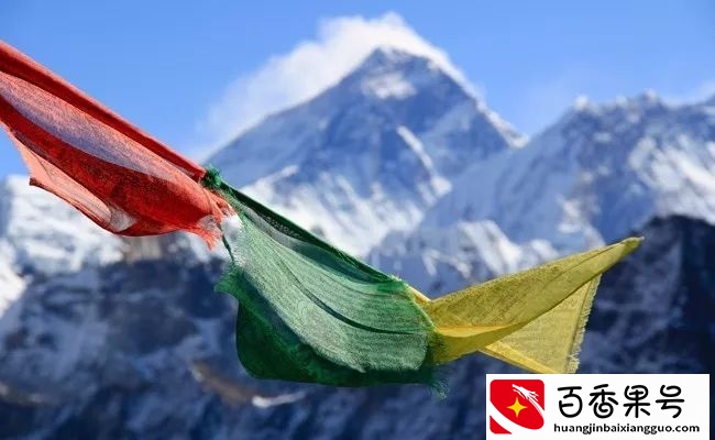 5种能在珠穆朗玛峰极端环境下生存的神奇动物